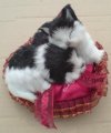 Kočka a pejsek na polštářku