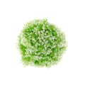 Um. buxus s květinou 0/120