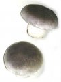 Dekorační houby - sada 12 ks
