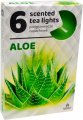 Čajové svíčky vonné - ALOE